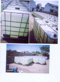 Click on the photograph for exporter's profile